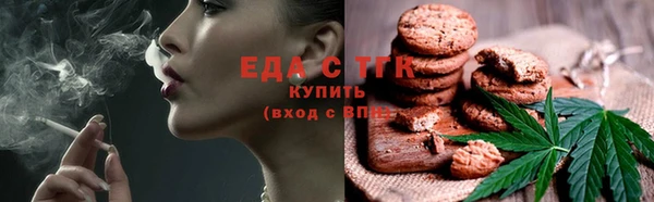 стаф Арсеньев