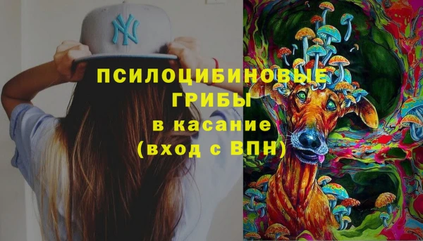соль ск Армянск