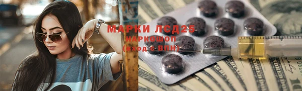 стаф Арсеньев