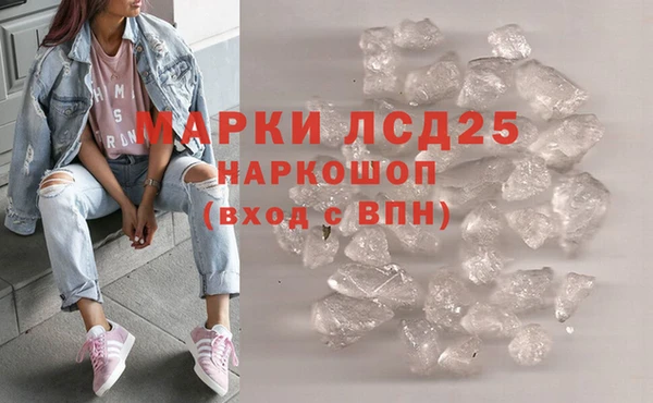 стаф Арсеньев